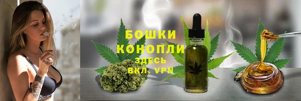 винт Гусь-Хрустальный