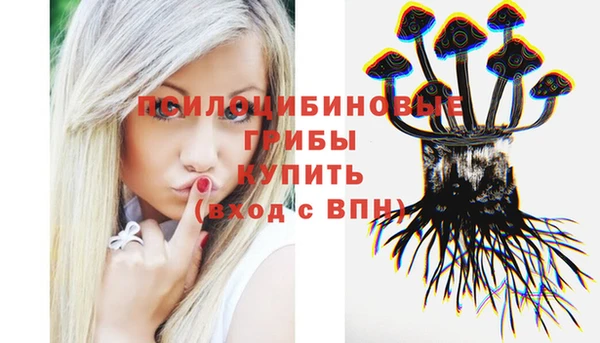 хмурый Гусиноозёрск