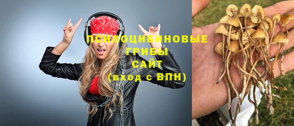 скорость Гусев
