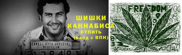 скорость Гусев