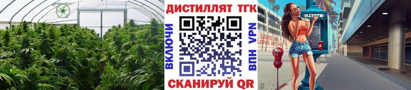 mega ССЫЛКА Димитровград Дистиллят ТГК вейп с тгк наркота