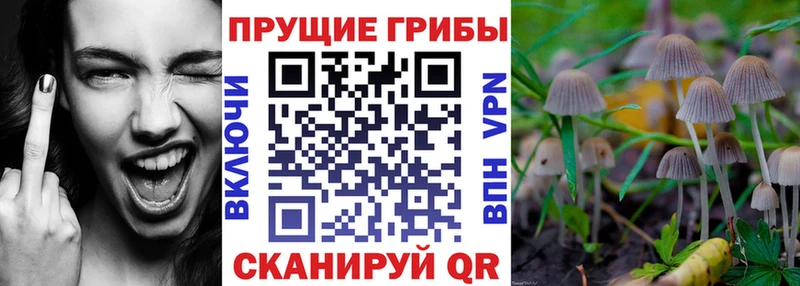 Галлюциногенные грибы мухоморы  цена   Димитровград 